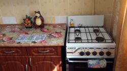 Здається 2-х кімнатна квартира з технікою та меблями. Тяжилів фото 7 Здається 2-х кімнатна квартира з технікою та меблями. Тяжилів фото 7