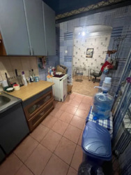 ���� 3 ��������� ��������. ���� 4