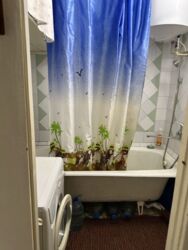 ���� ������������� ��������. ���� 4