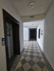      Dombrovskyi  13