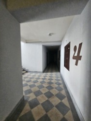      Dombrovskyi  17