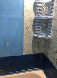 ������ 2-������� �������� �� ���. �������������� ���� 6