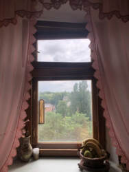 В оренду 1-кімнатна квартира по вул.Бельгійська фото 2 В оренду 1-кімнатна квартира по вул.Бельгійська фото 2