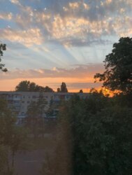 ������ 1-������� �������� ���. �.����������� ���� 2