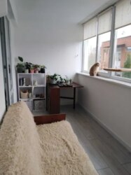 Оренда 1-кімнатної квартири вул. Сірожупанної дивізії (4-а Продольна) фото 3 Оренда 1-кімнатної квартири вул. Сірожупанної дивізії (4-а Продольна) фото 3