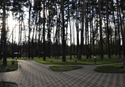 Оренда 1-кімнатної квартири в ЖК Forest Apart (р-н Баранівки) фото 8 Оренда 1-кімнатної квартири в ЖК Forest Apart (р-н Баранівки) фото 8