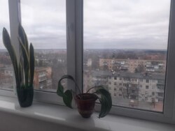 ������ 2-������� �������� �� ���. �������� ����������� (ʳ����) ���� 4