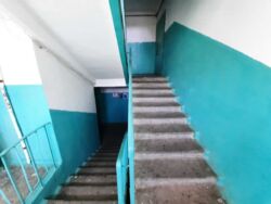   ,   7