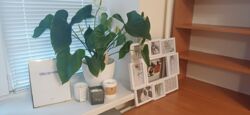  ,   . ( ), 2/12  2