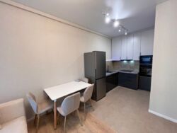   , https://rieltor.ua/flats-rent/view/11708329  4