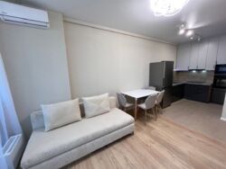   , https://rieltor.ua/flats-rent/view/11708329  3