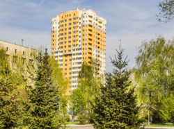   , ',  Solo Park, .   18