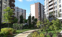 ������ 1 ������� �������� �� PARKLAND ���� 18