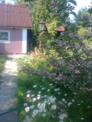 Здається квартира Черкаська фото 15 Здається квартира Черкаська фото 15