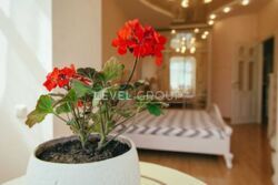 Здається квартира Київ, Печерський, Липки, Івана Мазепи вул., 3 фото 15 Здається квартира Київ, Печерський, Липки, Івана Мазепи вул., 3 фото 15