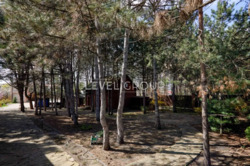 ����� | ����� | �������ֲ� � ���������� ˲Ѳ | ���������� | ������ | ���� | �������Ͳ��� ���� 6