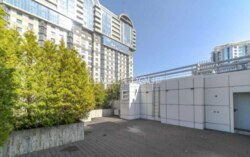 ������ ���� ������, ����������� �������� � �� ������������ ����� ���� 14