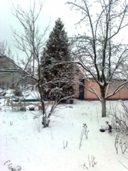 Здається квартира Черкаська фото 12 Здається квартира Черкаська фото 12