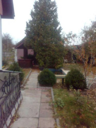 Здається квартира Черкаська фото 7 Здається квартира Черкаська фото 7