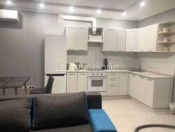 Здається 1-кімнатна квартира, вул. Самойла Кошки (Маршала Конева). фото 5 Здається 1-кімнатна квартира, вул. Самойла Кошки (Маршала Конева). фото 5