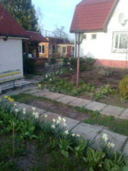 Здається квартира Черкаська фото 5 Здається квартира Черкаська фото 5