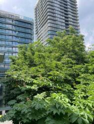 Оренда 3-к квартири на Мечнікова 11. Кловська фото 8 Оренда 3-к квартири на Мечнікова 11. Кловська фото 8