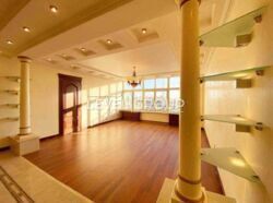 ������� �������� ������������� ���., 49�, ���, �������������, �. ����� ������ ���� 10