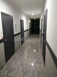  -䳿   Skyland:       11