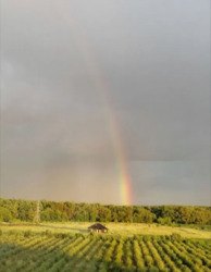 Здам однокімнотну квартиру 43 кв в Новосілках (Теремки) фото 4 Здам однокімнотну квартиру 43 кв в Новосілках (Теремки) фото 4