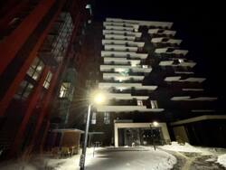 ������� �������� ����. ���������, ³�����, ³�������, ���������� ���� 20