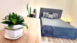 ������� �������� ³�������, ³�����, �������������, ���. ������������, 18� ���� 9