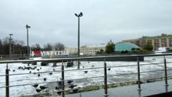 ������� �������� ³�������, ³�����, ����������, ��. ����������(�������), 4 ���� 14