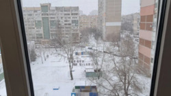 ���� 1-�������, ������� ������ 59-�, ������� ���� 15