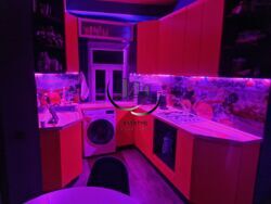 ���� 2 ������� ��������, �����, ���� 2