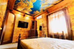 ���� 3 ������� ��������, ����� ���� 5