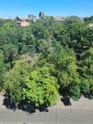 ���� 3-������� ��������, ����� ������. ���� 6