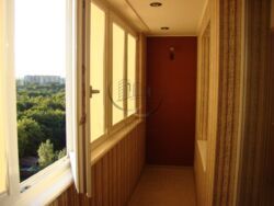 ���� 3 ������� ��������, ����� ���� 11