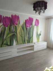 ���� 1 ������� ��������, �. ��������� ���� 7