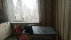 ���� 2� ������� ��������, �. ��������� ���� 8