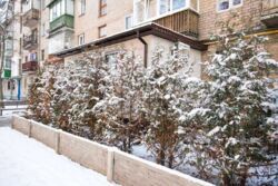 ���� 2 ������� ��������, �. 23 ������. ���� 12