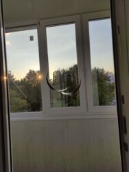 ������� 1 ������� ��������, �������. 625 ����. ���� 7