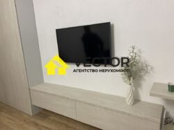 Однокімнатна в центрі міста фото 8 Однокімнатна в центрі міста фото 8