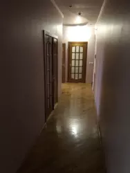 ���������� ������ ���� ����� ���� 13