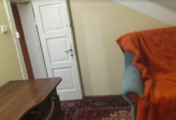 1� ���� 5