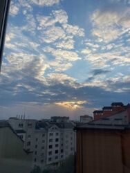 1� ���� 17