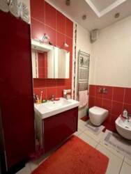 ������� �������� ���, �����'������� ���� 16