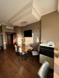 ������� �������� ���, ���������� ���� 11