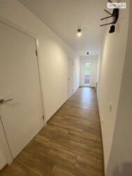 ������� �������� ���� 12