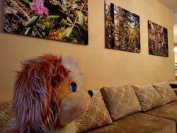 ������� �������� ���������� ������� ��������, 12�, ���, �����������, �. ������� ���� 12