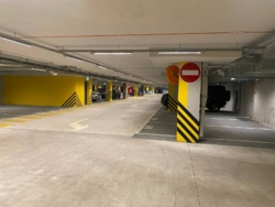   , , , 118/19, .    25